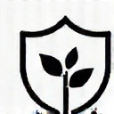 Ikona tarczy symbolizująca wzmocnienie odporności.