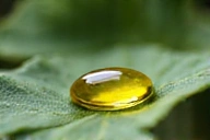Kropla olejku ziołowego na liściu, symbolizująca czystość i naturalność.