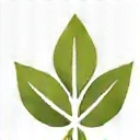 Ikona symbolizująca naturalne składniki